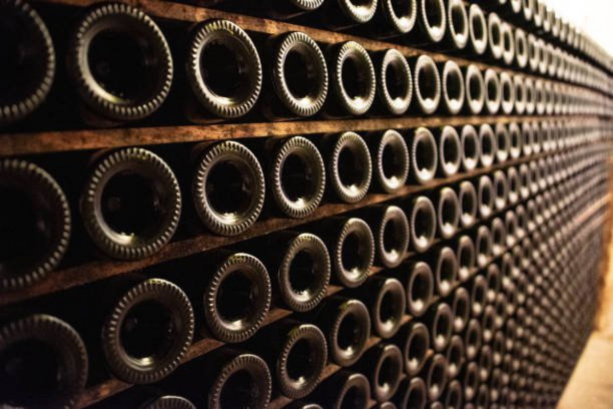 Wine Cellar