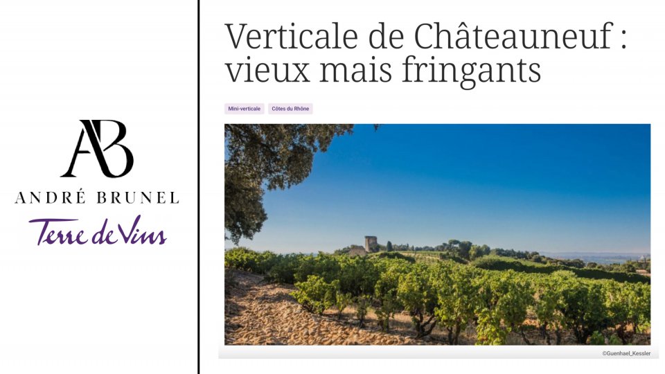article Terre de Vins